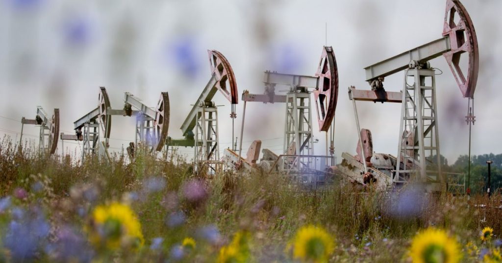 ОПЕК + надеется удержать рост добычи на фоне восстановления цен на нефть |  Новости Алжира