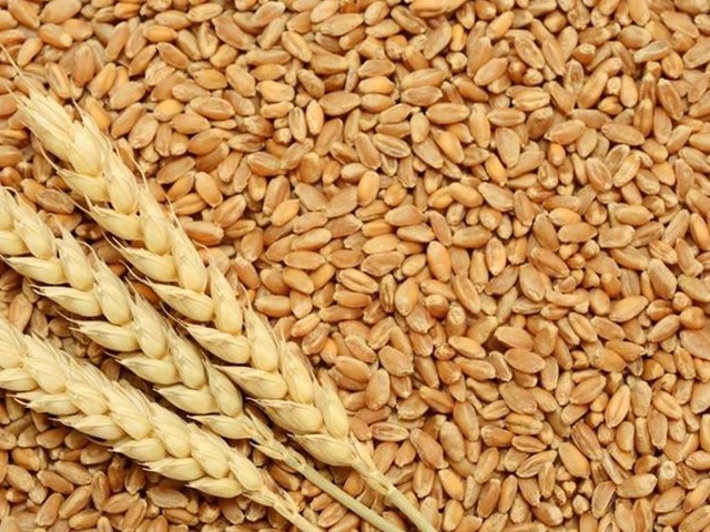 Смешивание парижской пшеницы с оценкой трейдерами доли российского экспорта - Markets