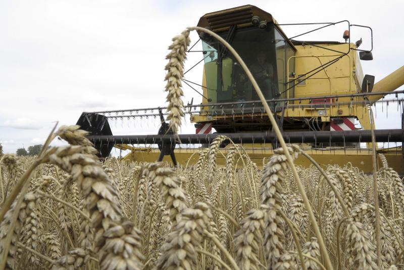 Товарное обновление - легкость зерна;  «Большая семерка» продолжает оказывать давление на Россию, чтобы она противостояла пшеничной войне;  Индонезия конфисковала партию растительного масла