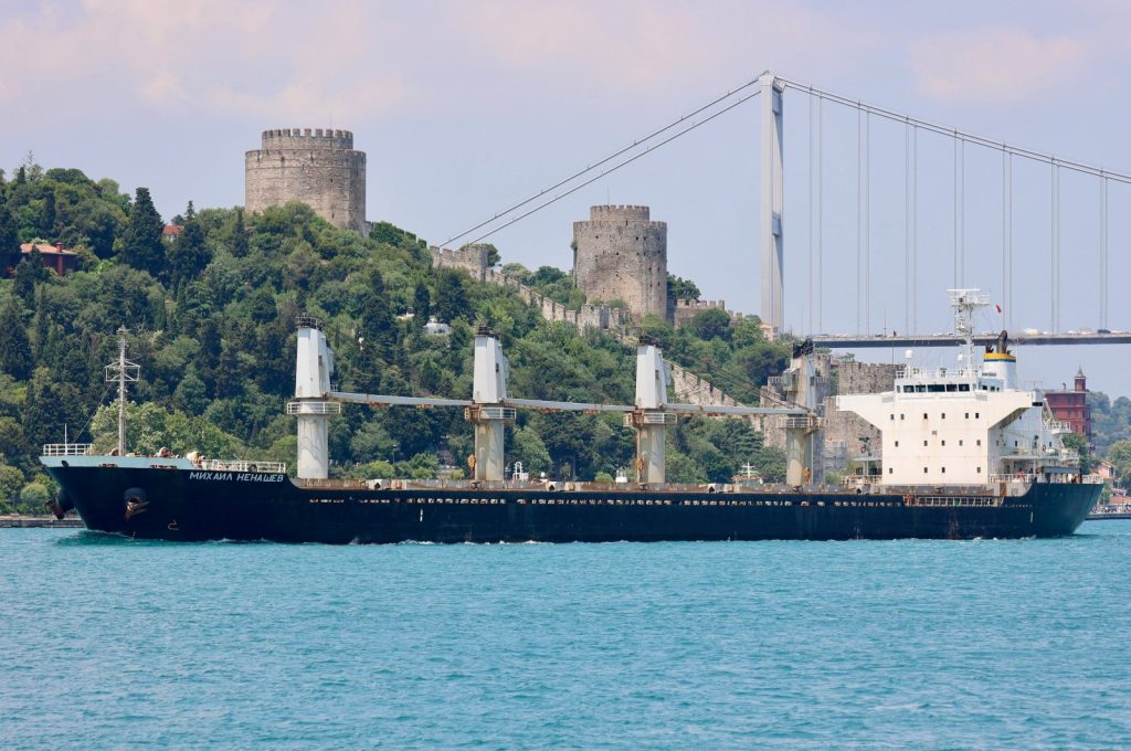 Российское судно, подозреваемое в перевозке краденого зерна, покинуло турецкий порт