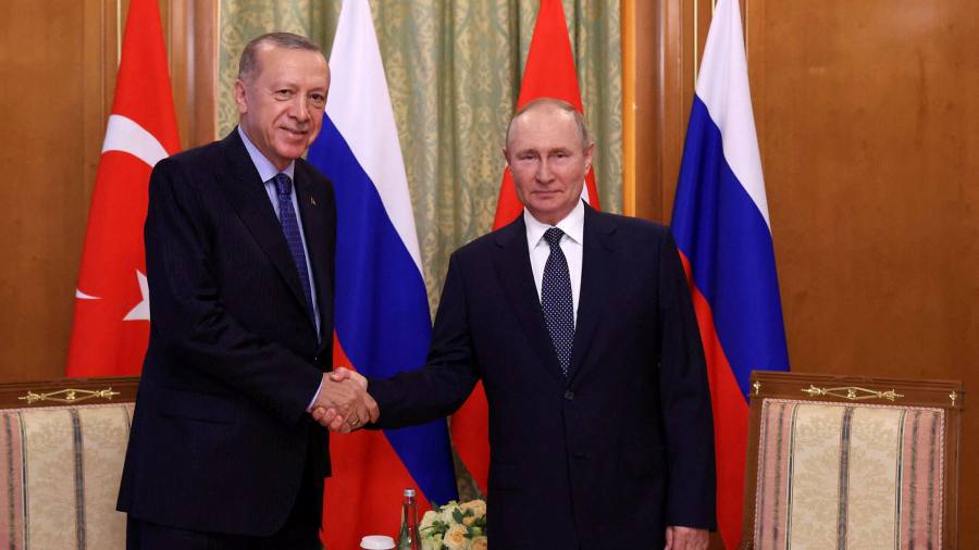 Владимир Путин и Реджеп Тайип Эрдоган пообещали углублять экономические связи
