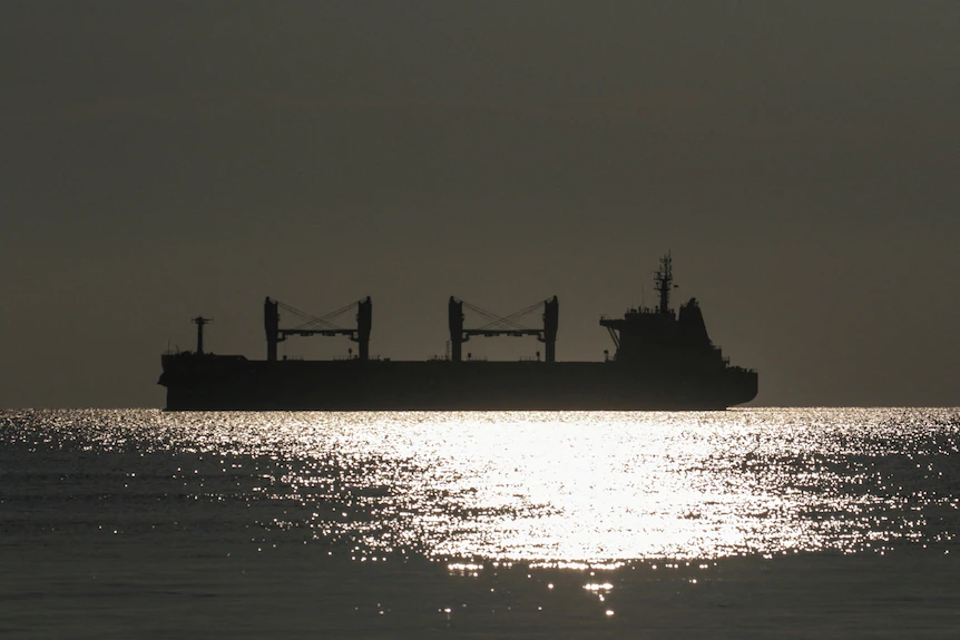 Рогин, сухогруз покидает морской порт Черноморск после возобновления экспорта зерна,