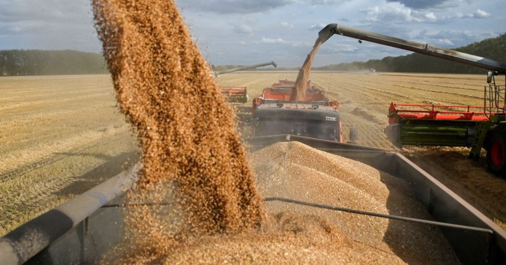 ЭКСКЛЮЗИВ: ВТБ призывает Путина обуздать российские операции западных зернотрейдеров